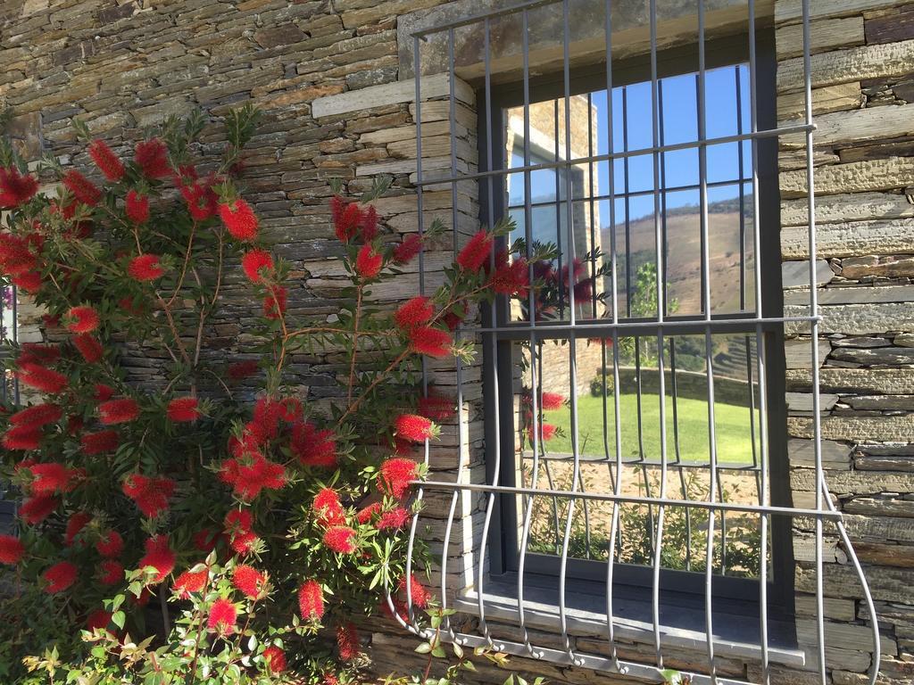 Quinta Da Marka Covas do Douro Εξωτερικό φωτογραφία