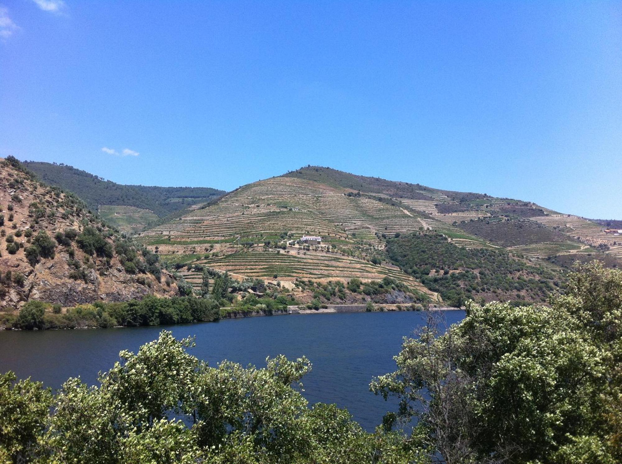 Quinta Da Marka Covas do Douro Εξωτερικό φωτογραφία